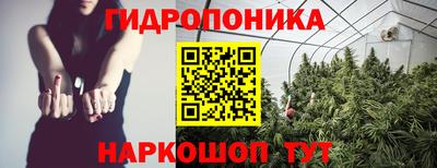 эйфоретик Заволжье
