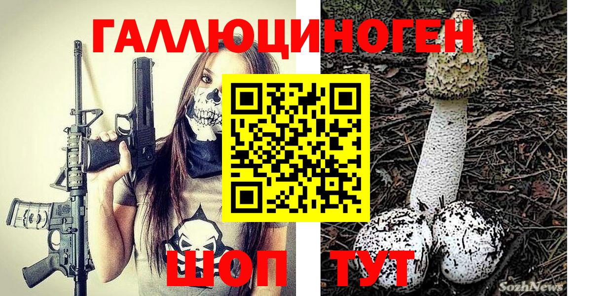Галлюциногенные грибы ЛСД  где можно купить наркотик  Майкоп  Вход с VPN 